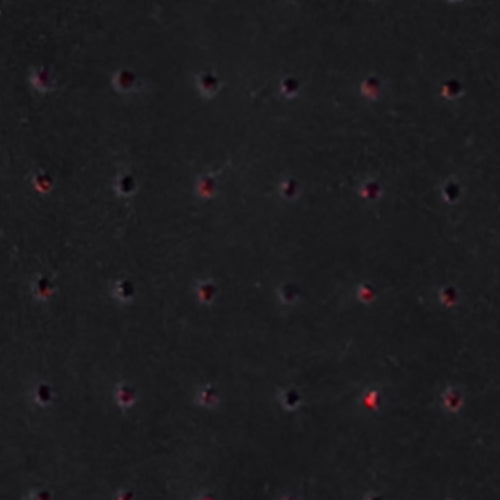 Esme Convertible Bag * Final Sale* - Image 3